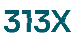313x Cybersecurity Logo